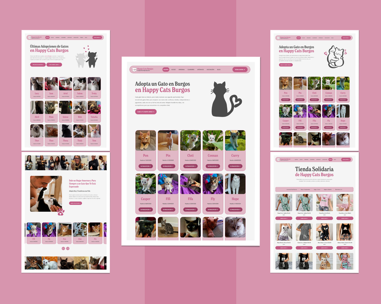 Non-profit Squarespace Website Design.